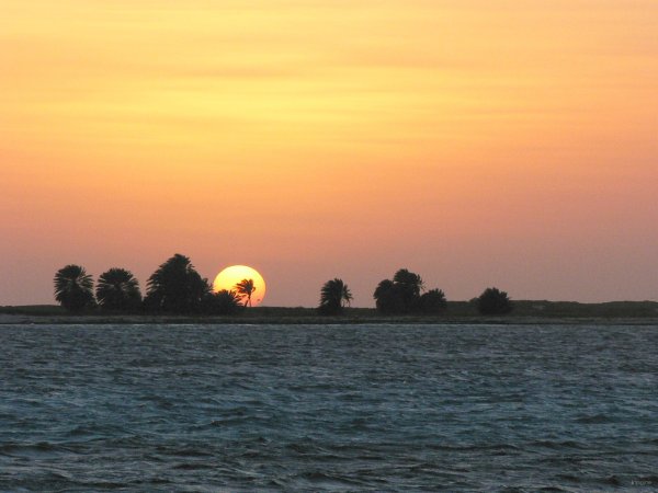 109- Coucher de soleil sur les palmiers de Cayo de Agua 